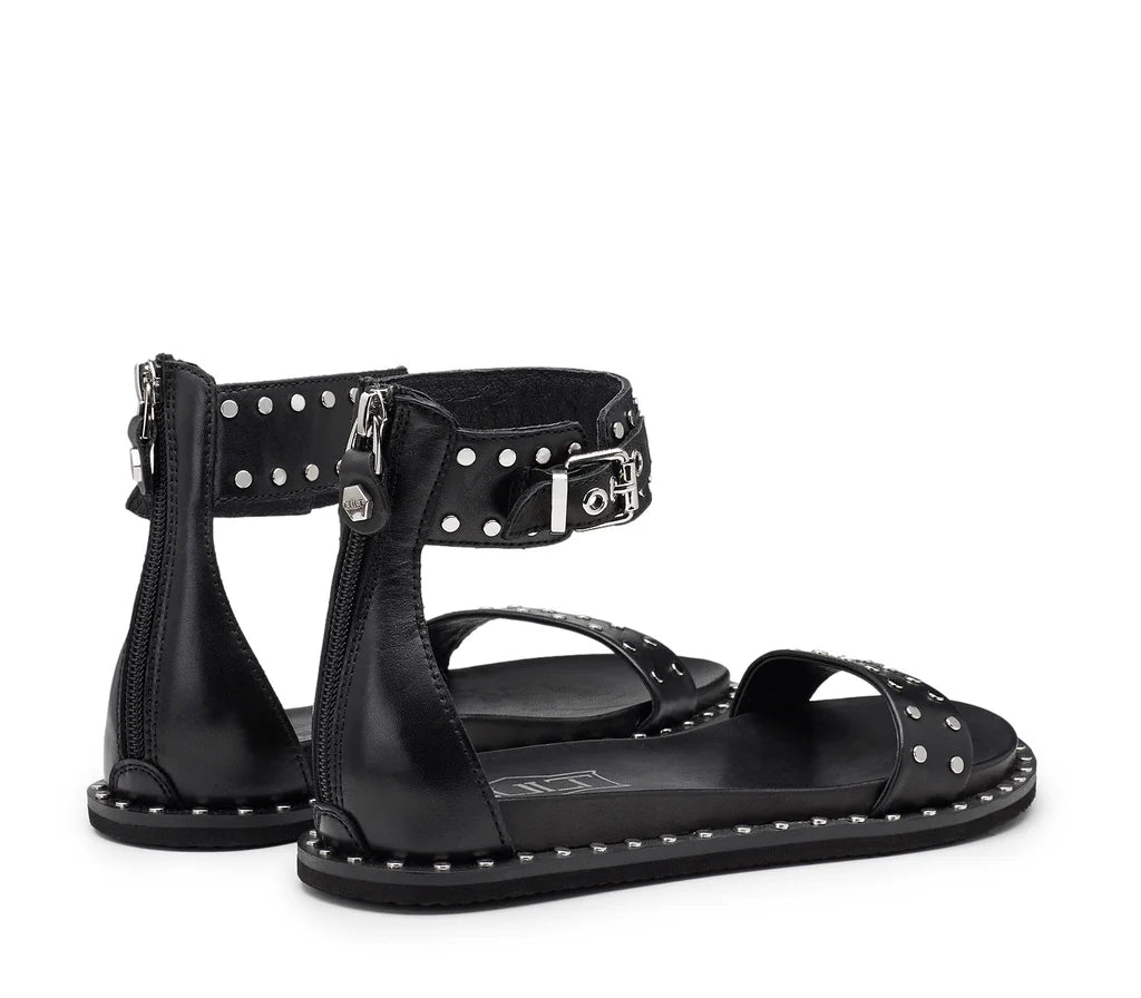 CULT ROSHELLE 3885 BORCHIE