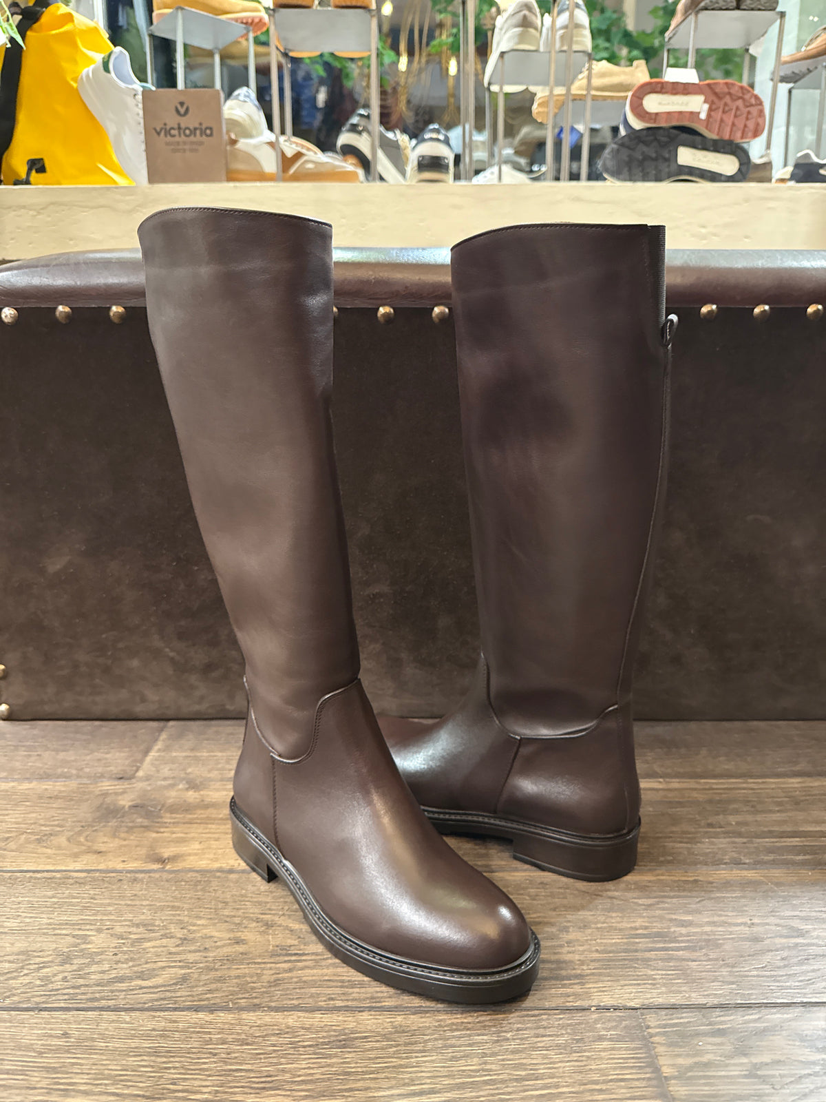 Stivali donna Temy Lp07 testa di moro