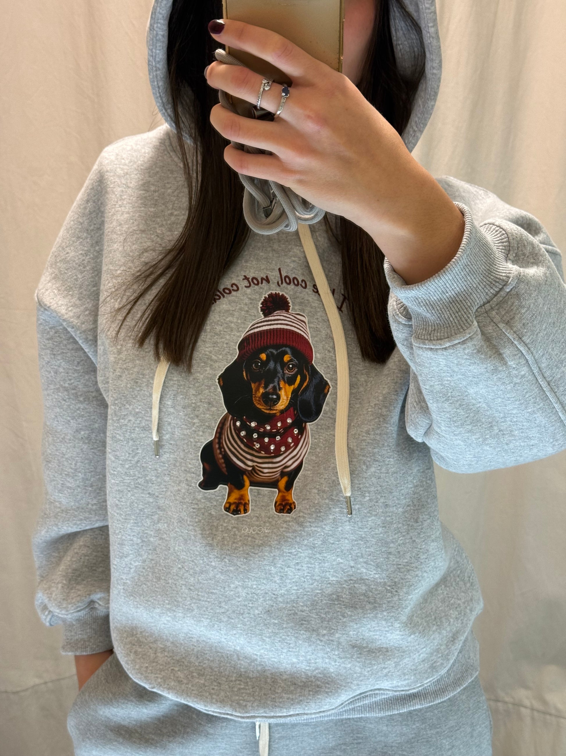 Felpa cappuccio Vicolo grigia stampa bassotto