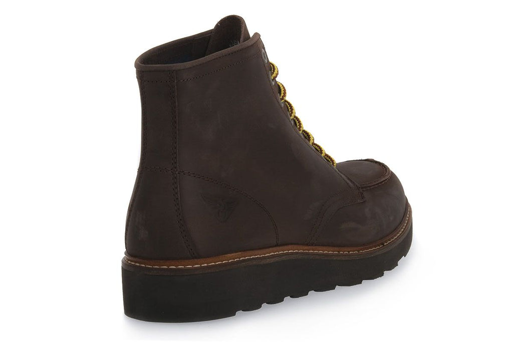 UOMO - OAKLAND 1726 - DR BROWN - DOCKSTEPS
