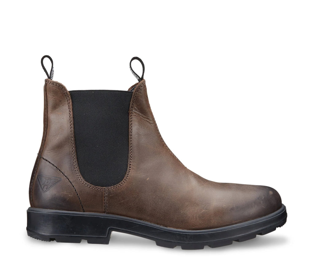 DOCKSTEPS JASPER 1302 DARK/ BROWN